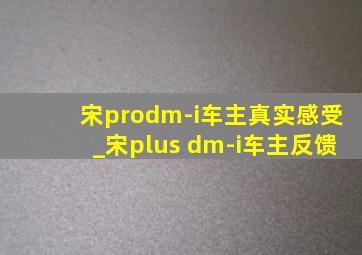 宋prodm-i车主真实感受_宋plus dm-i车主反馈